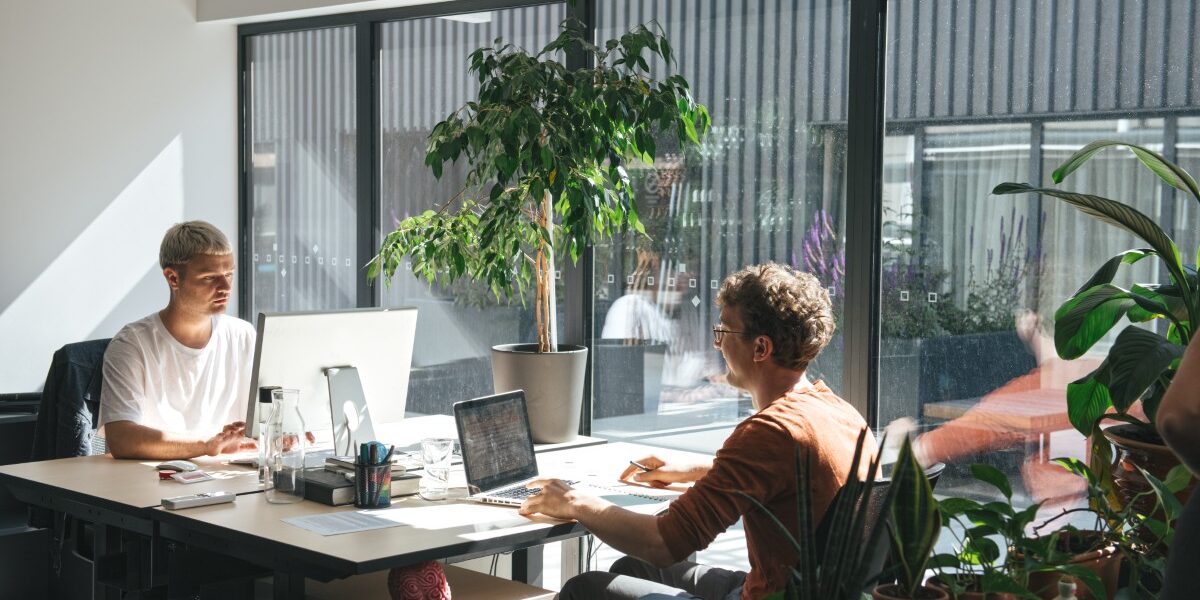 people-working-in-sunny-modern-office-2026-01-09-09-08-49-utc